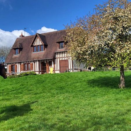 Relais Equestre Du Miloir - Chambres D'Hotes Saint-Desir Luaran gambar