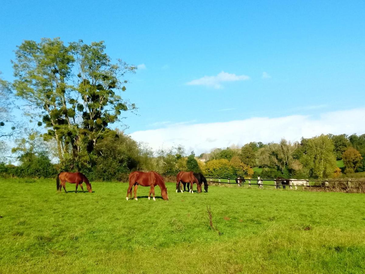 Relais Equestre Du Miloir - Chambres D'Hotes Saint-Desir Luaran gambar