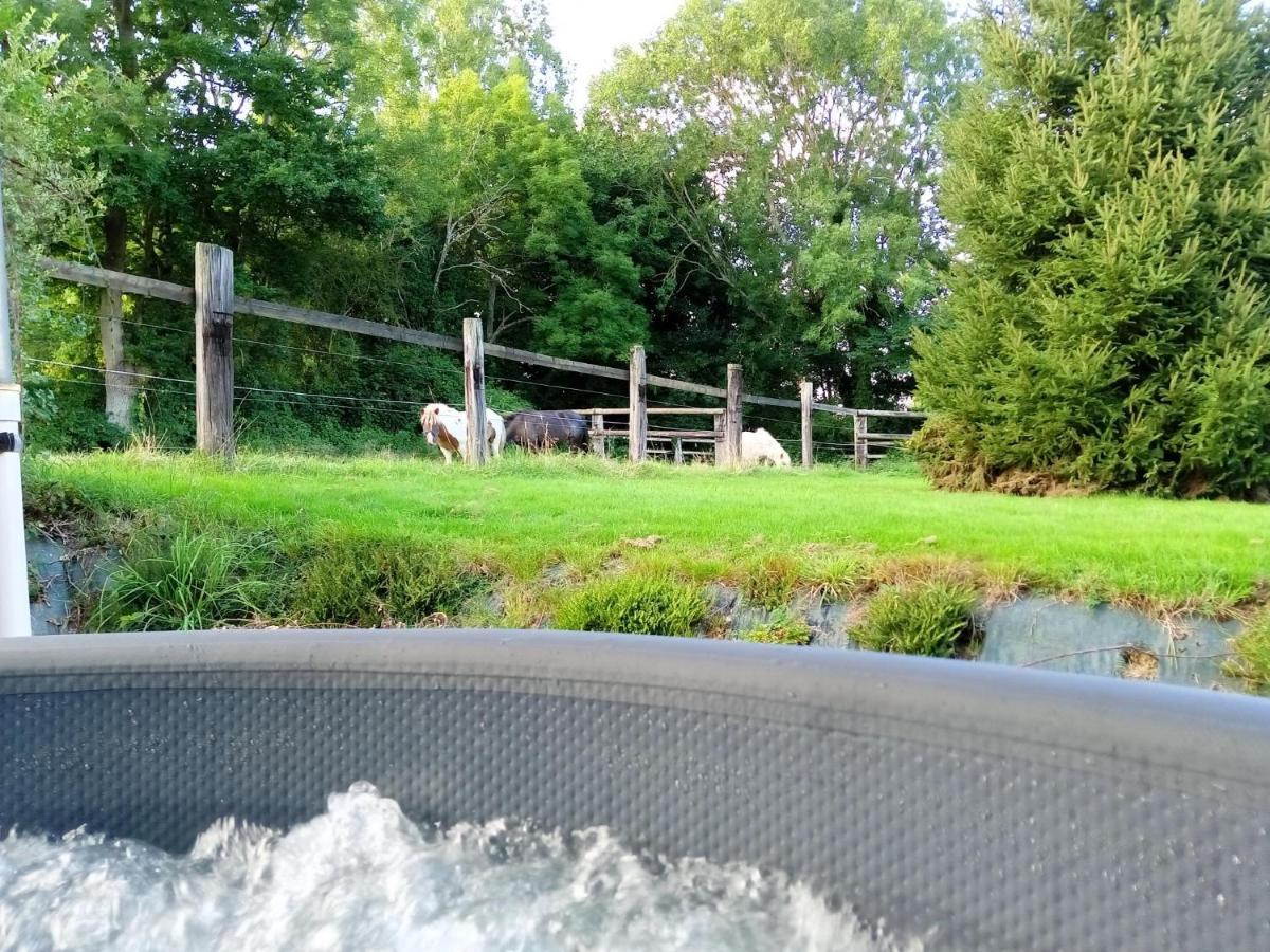 Relais Equestre Du Miloir - Chambres D'Hotes Saint-Desir Luaran gambar