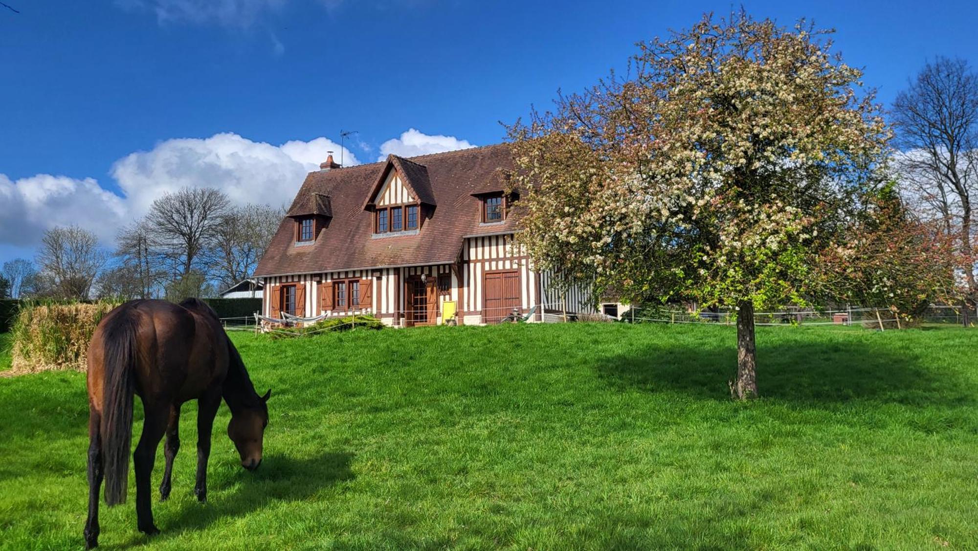 Relais Equestre Du Miloir - Chambres D'Hotes Saint-Desir Luaran gambar