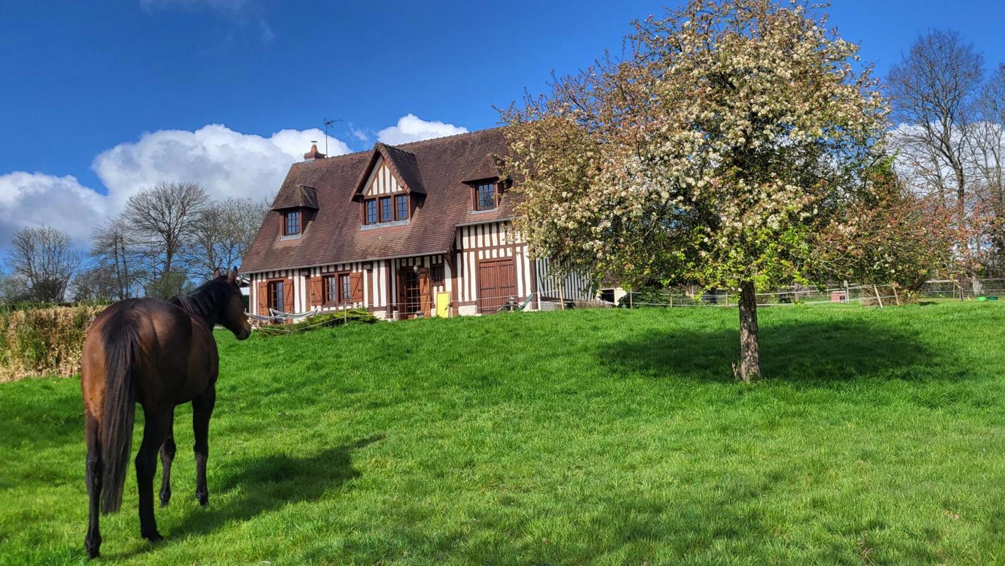 Relais Equestre Du Miloir - Chambres D'Hotes Saint-Desir Luaran gambar