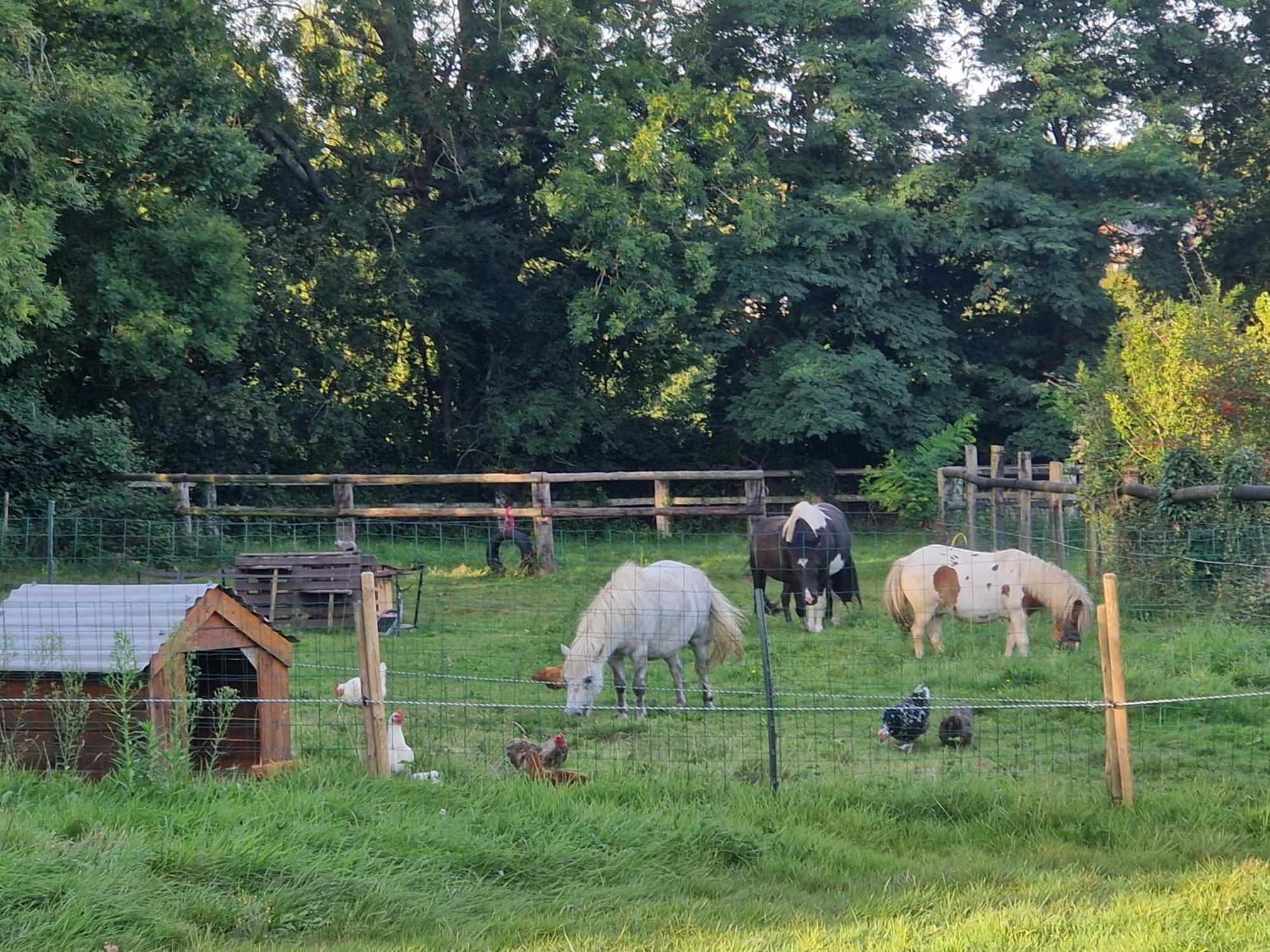 Relais Equestre Du Miloir - Chambres D'Hotes Saint-Desir Luaran gambar